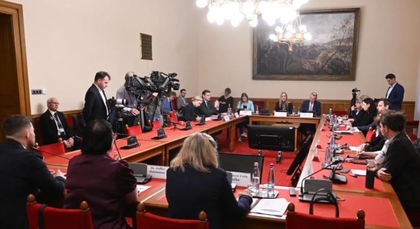 Létszám- és forráshiányról számoltak be a gyermekvédelmi szakemberek a bizottsági ülésen