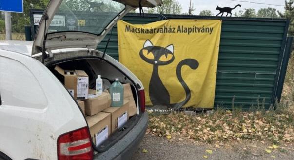 Higiéniai támogatással segíti a Macskaárvaház Alapítvány munkáját a Peugeot robogók importőre