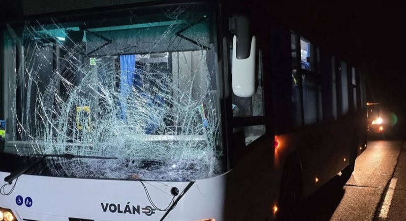 Méretes szarvast kapott telibe egy busz Pilisvörösvárnál, fotókon a baleset