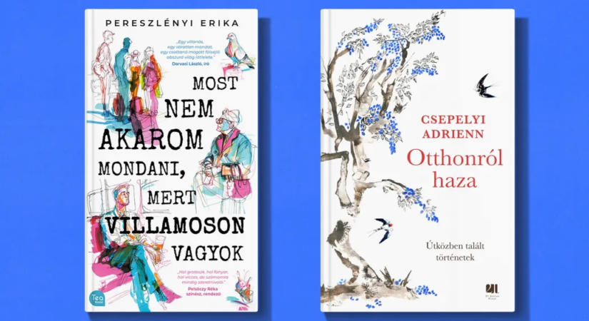 Empátiapróza vagy nyomorpornó?