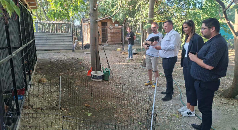 Ferenczi Gábor fejlesztési lehetőségekről tárgyalt a Hódmezővásárhelyi Állatvédők Egyesületével
