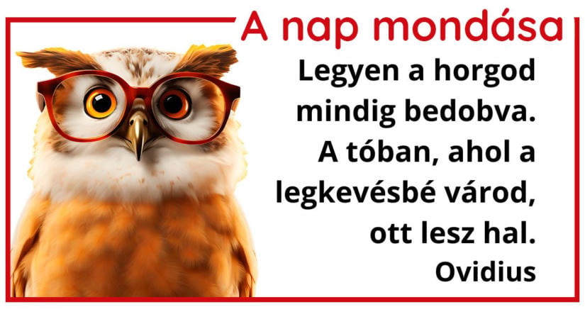 A nap mondása