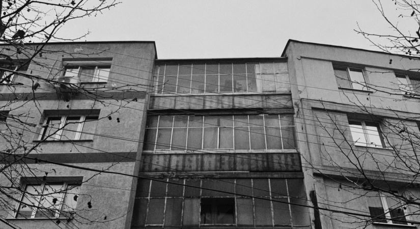 Miklós Nóra verse