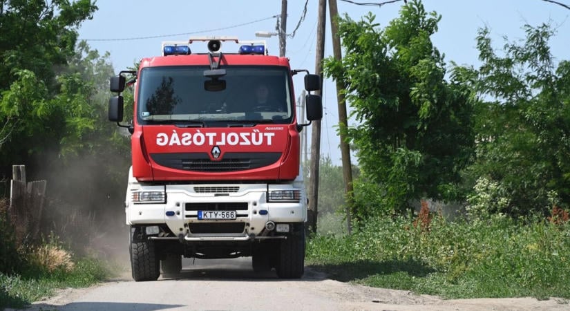 Lángba borult a bozótos Szabolcsban – két tűzoltóegységet riasztottak a helyszínre!