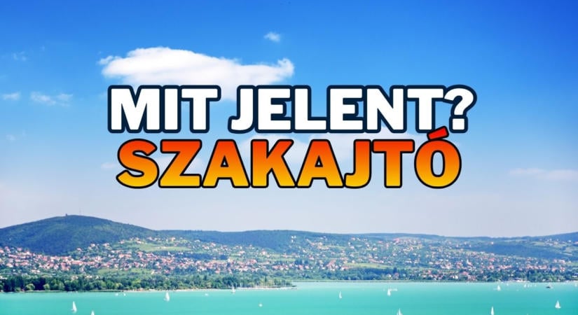 Napi tájszólás feladat: Eltalálod a szakajtó jelentését?
