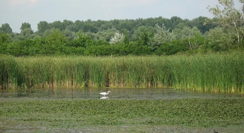 Elképesztő kora őszi úti célok a Holt-Tisza mentén, amiket muszáj felkeresned