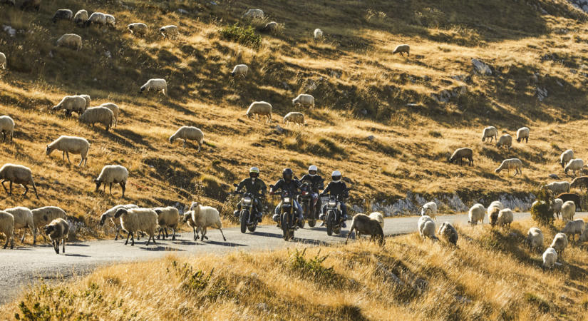 Célba ért az 5. Balkan Rally – 8 nap, 1150 kilométer és egy végletekig kiélezett verseny után