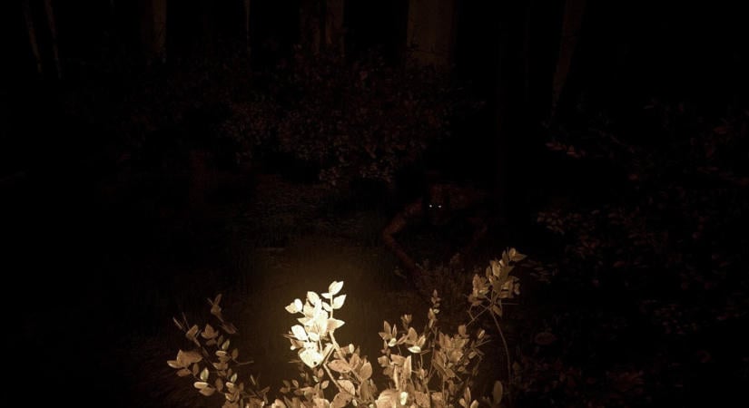 Végre magyar szinkronnal is ránk hozza a frászt a Shroud of the Woods