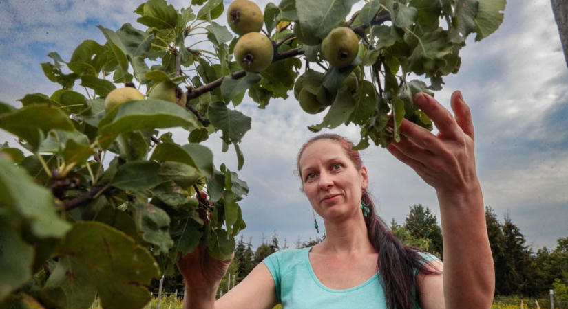 „Én itt az elveszett paradicsomot próbálom helyreállítani" – Almásy Karolina birtokán jártunk az Őrségben
