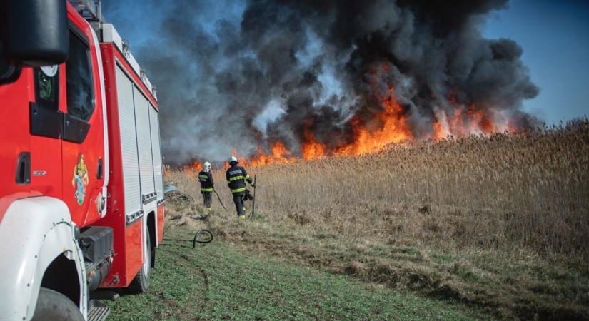 Tombolt a tűz Szabolcsban: több hektáron pusztítottak a lángok, hajszálon múlott a katasztrófa!