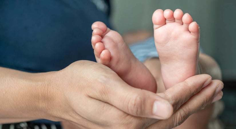 A babaváró hitelesek fekete napja jön – közel 4 millió forint is lehet a büntetés