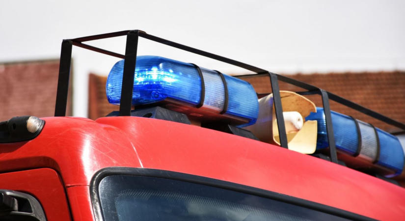 Lángra kapott az erdő aljnövényzete, öt település tűzoltóit riasztották