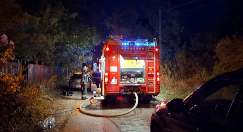 Gyilkosság miatt nyomoz a rendőrség a tegnapi szentendrei tűzeset kapcsán