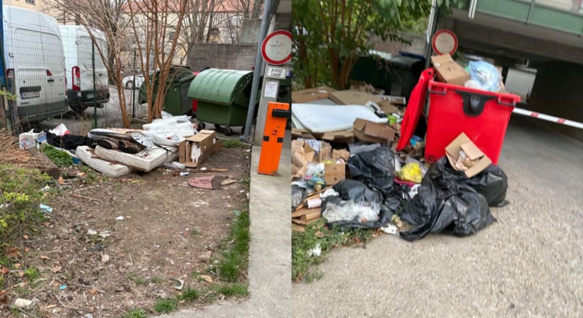Mint egy putri – az év minden napján hegyekben áll a szemét a Koller utcában