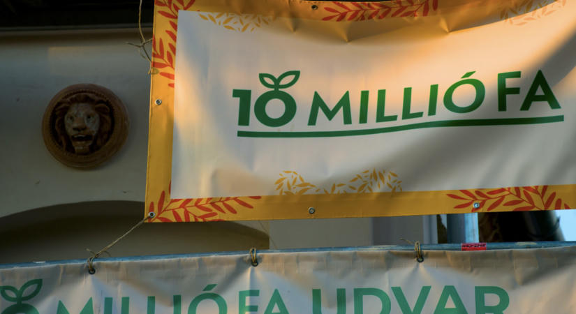 Bicikliút melletti fasor lesz a 10 millió Fa fellépéséből az Ördögkatlan Fesztiválon