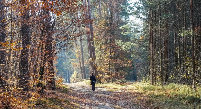 Fejlámpa, esőkabát, napszemüveg – kötelező kellékek az őszi túrákhoz