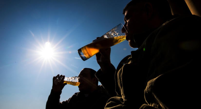 Az agy saját immunsejtjei is az alkohol áldozatává válhatnak, döbbenetes eredményre jutottak a kutatók