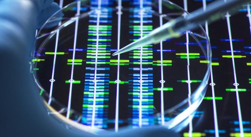 Feltárták a borderline személyiségzavar genetikai hátterét