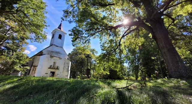 Kinizsi Pál sírját keresik a nagyvázsonyi ásatáson
