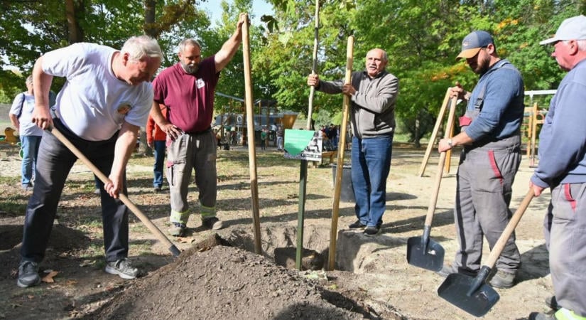 Emlékfát ültettek Győrben Monspart Sarolta tiszteletére - fotók, videó
