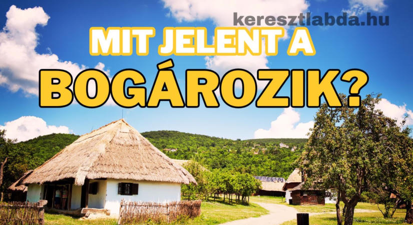 Tájszólás feladat: mit csinál, aki „bogározik”? Nem azt, amire gondolsz