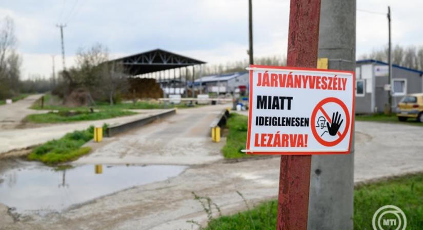 Kíváncsiságból hajtottak be a járványügyi karantén alatt álló telepre - megrótta őket a győri ügyészség