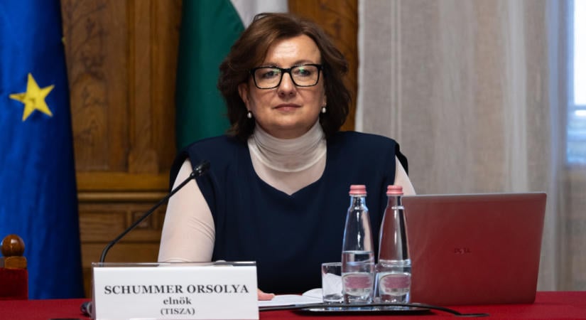 A tiszás Schummer Orsolya szerint „technikai segítségnyújtás történt”, amikor párttársa helyett szavazott a parlamentben