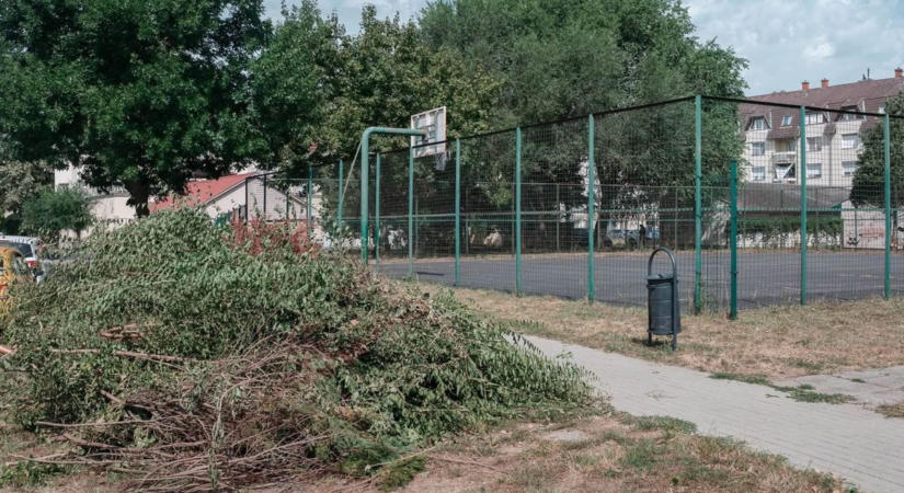 Rongálások és balesetveszély: azonnali intézkedések a Vizslaparkban és Olában