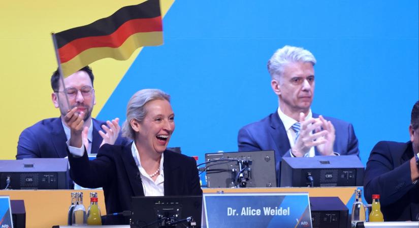 Prőhle Gergely: forró ősz jön, az AfD konszolidációval akar kormányzóképességet mutatni