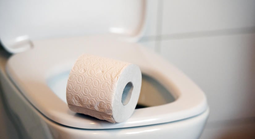 163 centiméter magasra repülhetnek a baktériumok egyetlen WC-öblítés után
