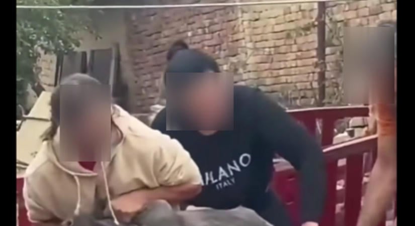Brutális állatkínzás Baranyában: otthon végezték el az ivartalanítást (VIDEÓ)
