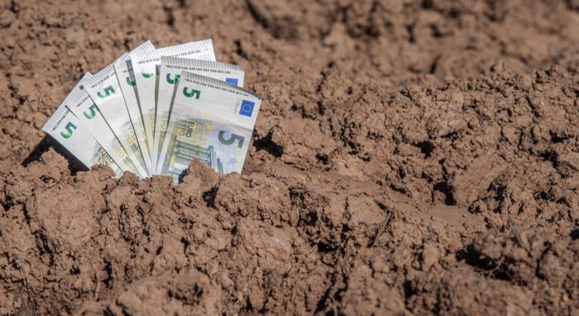 Euró bevezetése: kit roppant össze és kinek jó a közös valuta?