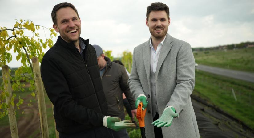 A Weerts Logistics Park (WLP) jóvoltából zöldül Vecsés