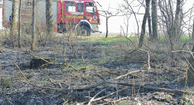 Elszabadult a tűz hulladékégetés közben, a tűzoltóknak kellett beavatkozniuk