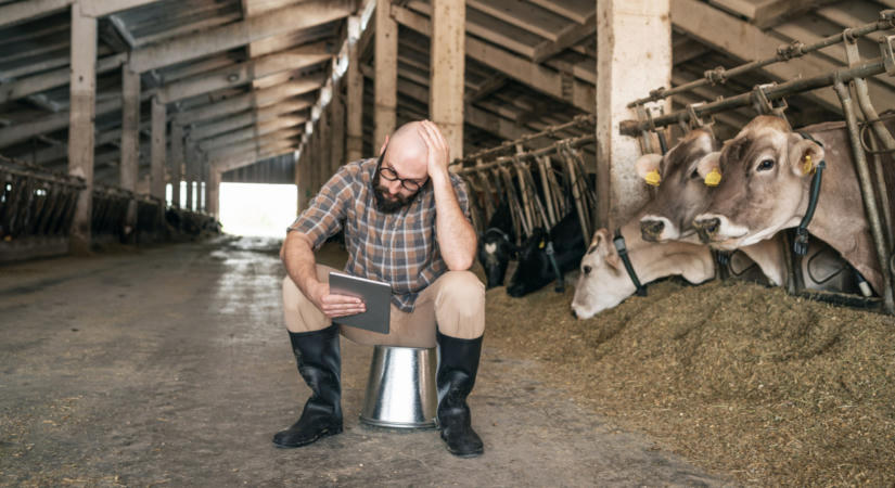Ez a helyzet már a magyar agráriumtól is új válaszokat követel