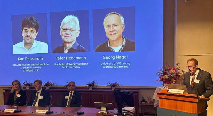 Nobel-díjat ért az agy villanykapcsolója: miért jó ez nekünk?