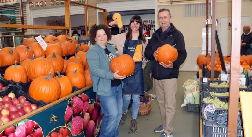 Sütőtök vagy mérgező dísztök? Így kerülheted el a kórházat halloween időszakában! (galéria)
