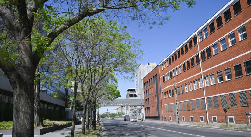 Új tulajdonosa lett a Richter tíz százalékának, nem akárki