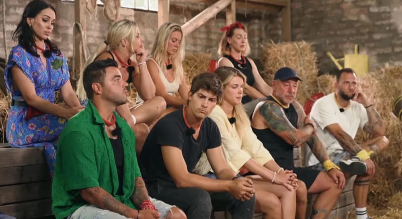 Farm VIP: Újabb versenyző esett ki a nagy mészárlás után!