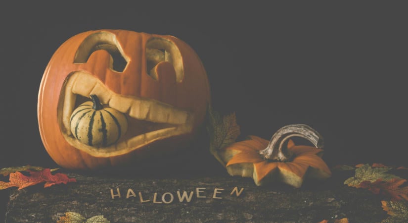 Mit csinálj a halloweeni tök magjaival? 5 tipp, hogy ne dobd rögtön a szemetesbe!