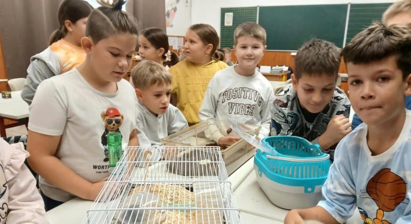 Az állatvédelem közös ügyünk – különleges állatok világnapja a vépi iskolában