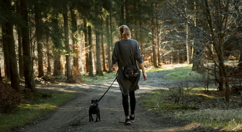 Figyeld meg, melyik oldaladon sétál a kutyád – nem mindegy, melyiket választja!