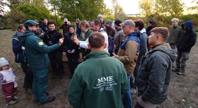 Igazi kuriózum: egzotikus ázsiai madarat fogtak a Ferencmajori Madárvártán
