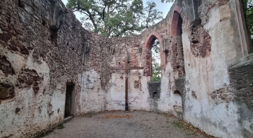 Hétszáz éves kolostorrom nyomait rejti az erdő a Balaton-felvidéken (galéria)
