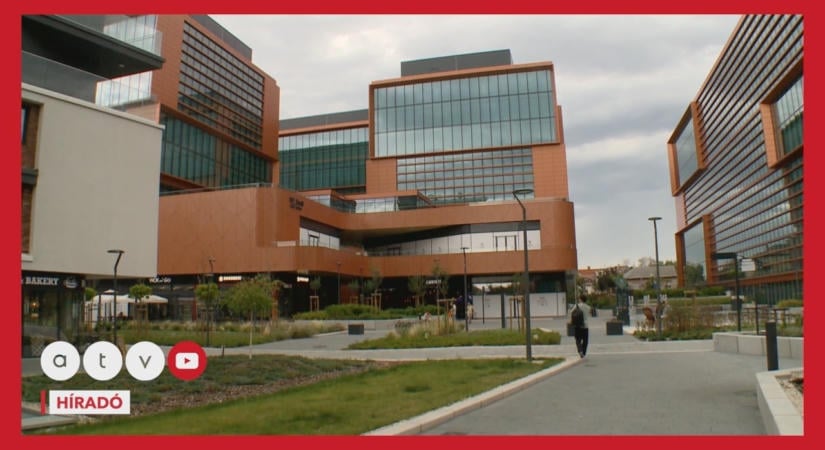 Csődeljárás indult a Bayer Construct Zrt. ellen