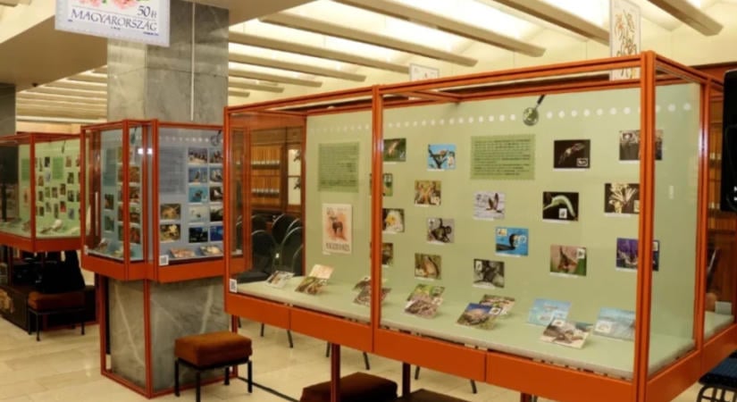 Őszi programokkal várja a látogatókat a Bélyegmúzeum