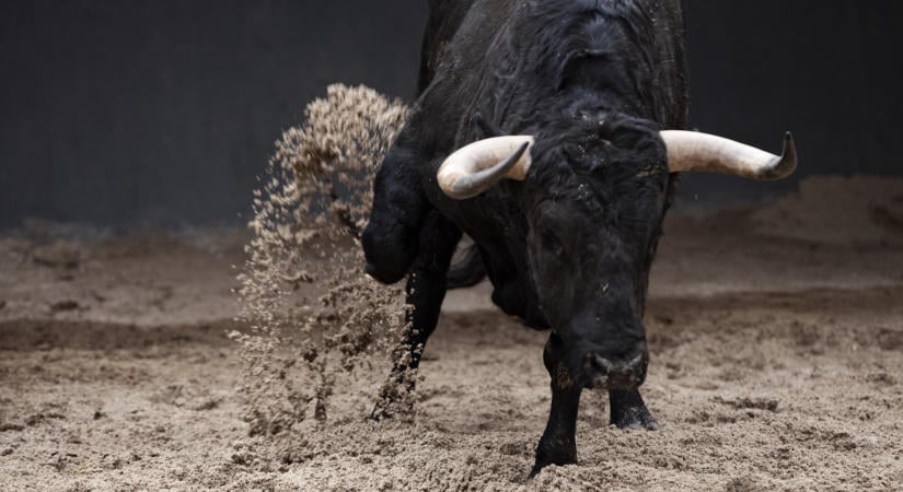 Kitörés előtt álló részvényt találtunk: a profik szerint most megduplázhatod vele a pénzed!