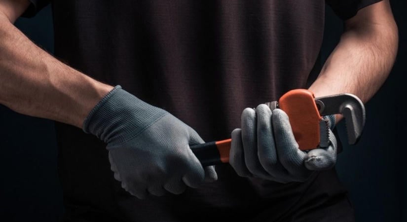 Brutálisan elbánt a macskájával egy férfi Burgenlandban, videóra is vette