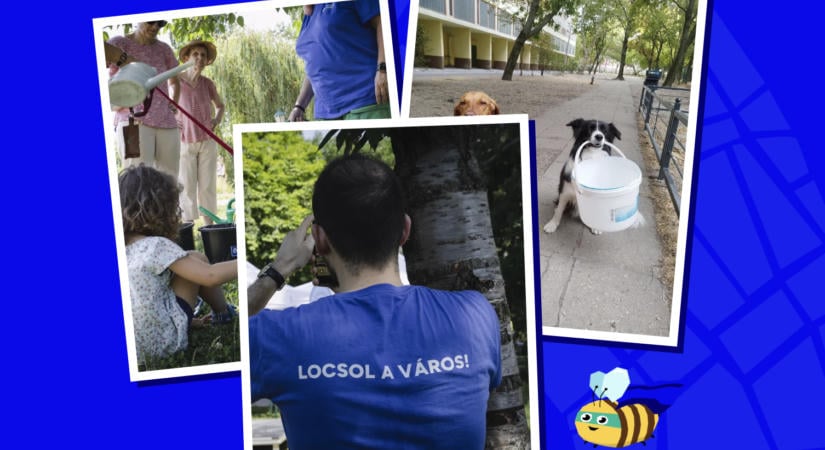 Egymillió liter víz, 33 ezer locsolás: így zárult az Önkéntes Vízadás 2026