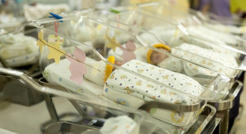 Megkezdődik a munka a kórházban rekedt csecsemők ügyében, 90 nap múlva várható a koncepció